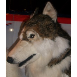 http://animalprops.com/1472-thickbox_default/harry-husky-dog-stuffed-plush-animal-display-prop.jpg