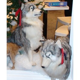 http://animalprops.com/1476-thickbox_default/leah-husky-dog-stuffed-plush-animal-display-prop.jpg