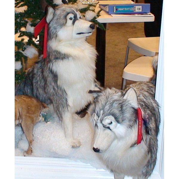 Leah Husky Dog Stuffed Plush Realistic Lifelike Lifesize Animal Display Prop