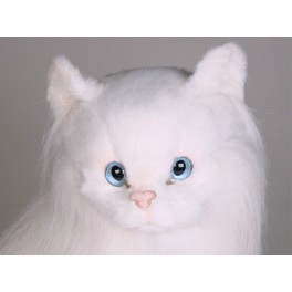http://animalprops.com/156-thickbox_default/duchess-angora-plush-stuffed-cat.jpg