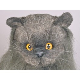 http://animalprops.com/164-thickbox_default/fabio-angora-cat-stuffed-plush.jpg