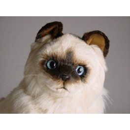 http://animalprops.com/169-thickbox_default/sinh-birman-cat-stuffed-plush-display-prop.jpg
