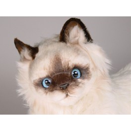 http://animalprops.com/172-thickbox_default/vanderbilt-birman-cat-stuffed-plush-display-prop.jpg