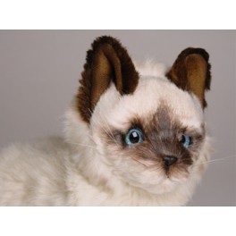 http://animalprops.com/175-thickbox_default/orloff-birman-cat-stuffed-plush-display-prop.jpg