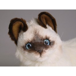 http://animalprops.com/178-thickbox_default/xenia-birman-cat-stuffed-plush-display-prop.jpg