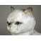 Sheba British Shorthair Cat Stuffed Plush Display Prop