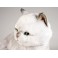 Arlene  British Shorthair Cat Stuffed Plush Display Prop