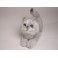 Chessie  British Shorthair Cat Stuffed Plush Display Prop