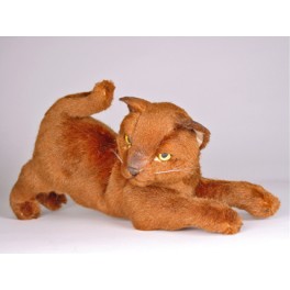 http://animalprops.com/196-thickbox_default/caramel-burmese-cat-stuffed-plush-display-prop.jpg