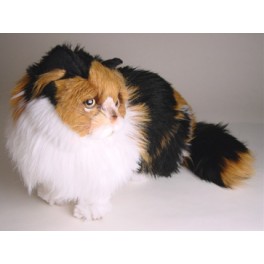 http://animalprops.com/199-thickbox_default/caramel-burmese-cat-stuffed-plush-display-prop.jpg