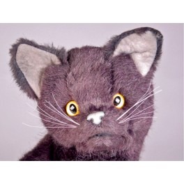http://animalprops.com/203-thickbox_default/cub-certosino-cat-stuffed-plush-display-prop.jpg