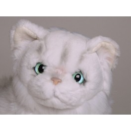 http://animalprops.com/228-thickbox_default/pambeh-chinchilla-silver-white-persian-cat-stuffed-plush-display-prop.jpg