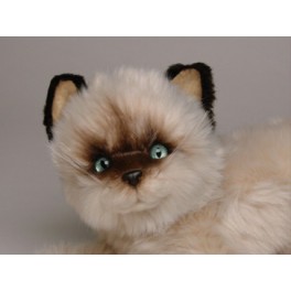 http://animalprops.com/243-thickbox_default/monkey-colorpoint-persian-cat-stuffed-plush-display-prop.jpg