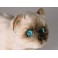 Mr. Jinx Colorpoint Persian Cat Stuffed Plush Display Prop