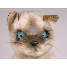 http://animalprops.com/249-thickbox_default/bartok-colorpoint-persian-cat-stuffed-plush-display-prop.jpg