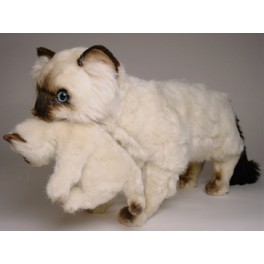 http://animalprops.com/252-thickbox_default/elizabeth-james-colorpoint-persian-cat-stuffed-plush-display-prop.jpg