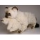 Elizabeth & James Colorpoint Persian Cat Stuffed Plush Display Prop