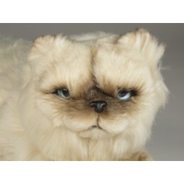http://animalprops.com/259-thickbox_default/verdi-himalayan-persian-cat-stuffed-plush-display-prop.jpg