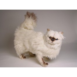 http://animalprops.com/263-thickbox_default/regis-himalayan-persian-cat-stuffed-plush-display-prop.jpg