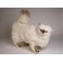 Regis Himalayan Persian Cat Stuffed Plush Display Prop