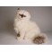 Ashley Himalayan Persian Cat Stuffed Plush Display Prop