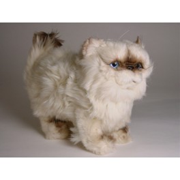 http://animalprops.com/269-thickbox_default/martha-himalayan-persian-cat-stuffed-plush-display-prop.jpg