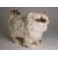 Martha Himalayan Persian Cat Stuffed Plush Display Prop