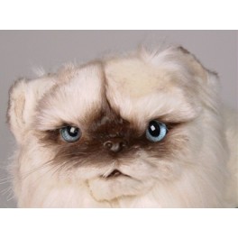 http://animalprops.com/272-thickbox_default/joy-himalayan-persian-cat-stuffed-plush-display-prop.jpg