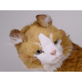 http://animalprops.com/281-thickbox_default/azrael-maine-coon-cat-stuffed-plush-display-prop.jpg