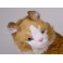 Azrael Maine Coon Cat Stuffed Plush Display Prop