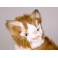 Bloo Maine Coon Cat Stuffed Plush Display Prop