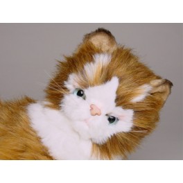http://animalprops.com/287-thickbox_default/cosey-maine-coon-cat-stuffed-plush-display-prop.jpg