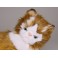 Cosey Maine Coon Cat Stuffed Plush Display Prop