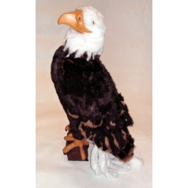 http://animalprops.com/29-thickbox_default/liberty-giant-bald-eagle-display-prop.jpg