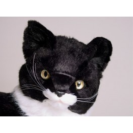 http://animalprops.com/293-thickbox_default/lipstick-manx-cat-stuffed-plush-display-prop.jpg
