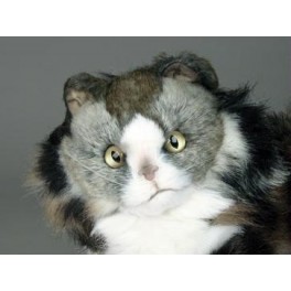 http://animalprops.com/303-thickbox_default/hobbs-norwegian-forest-cat-stuffed-plush-display-prop.jpg