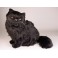 Blackie Persian Black Cat Stuffed Plush Display Prop