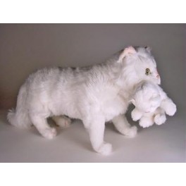 http://animalprops.com/322-thickbox_default/marshmallow-fluff-persian-cat-stuffed-plush-display-prop.jpg