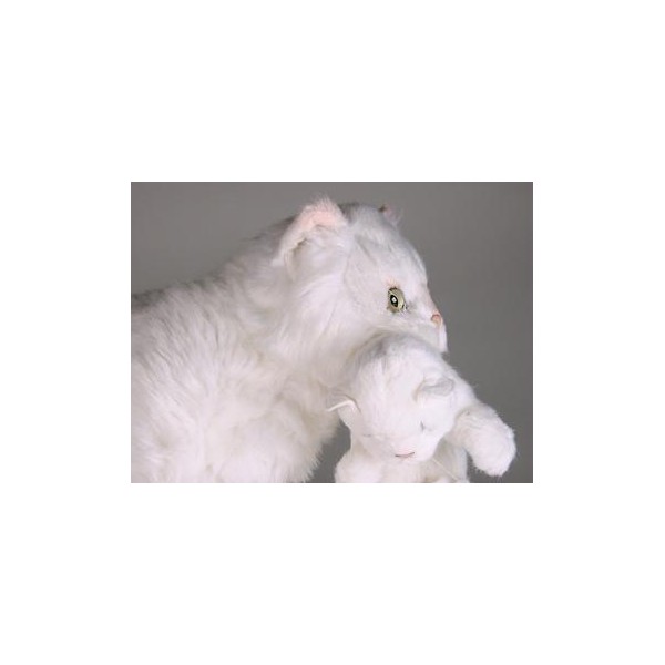 marshmallow plush cat