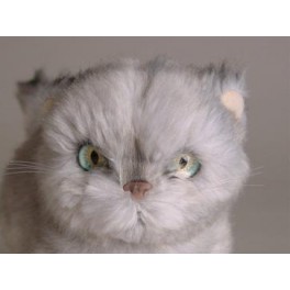 http://animalprops.com/331-thickbox_default/bita-persian-cat-stuffed-plush-display-prop.jpg