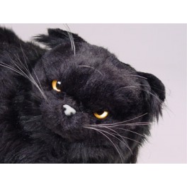 http://animalprops.com/337-thickbox_default/winkie-black-persian-cat-stuffed-plush-display-prop.jpg