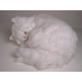 http://animalprops.com/340-thickbox_default/bashful-persian-cat-stuffed-plush-display-prop.jpg