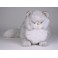 Grayson Silver Persian Cat Stuffed Plush Display Prop