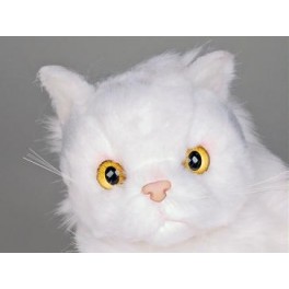http://animalprops.com/361-thickbox_default/sugar-white-persian-cat-stuffed-plush-display-prop.jpg