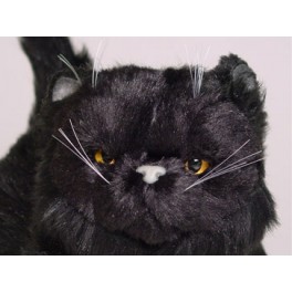 http://animalprops.com/364-thickbox_default/orion-black-persian-cat-stuffed-plush-display-prop.jpg