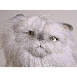 http://animalprops.com/367-thickbox_default/dearheart-silver-persian-cat-stuffed-plush-display-prop.jpg