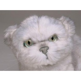 http://animalprops.com/374-thickbox_default/tiffany-silver-persian-cat-stuffed-plush-display-prop.jpg