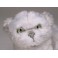 Tiffany Silver Persian Cat Stuffed Plush Display Prop
