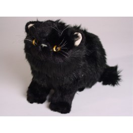 http://animalprops.com/380-thickbox_default/lucky-black-persian-cat-stuffed-plush-display-prop.jpg