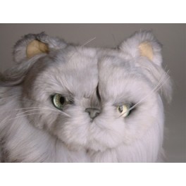 http://animalprops.com/383-thickbox_default/chinnie-silver-persian-cat-stuffed-plush-display-prop.jpg